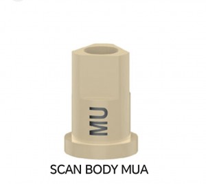 scan body mua